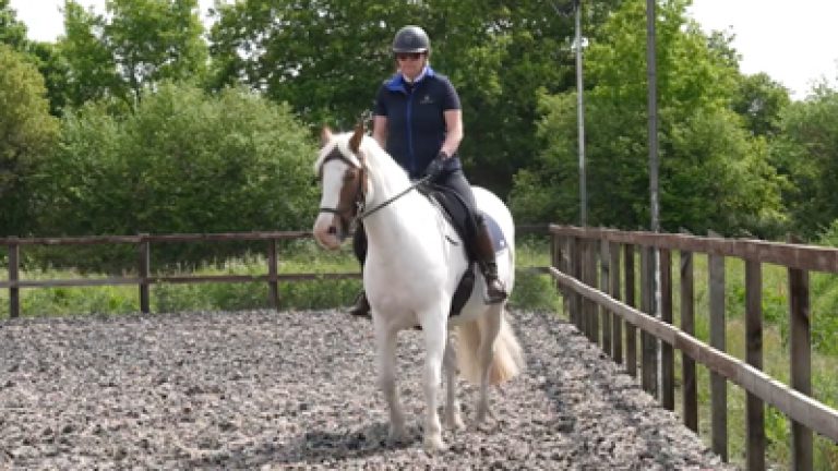 RLR_S002-Stella&H_Nav_block