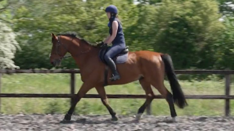 RLR_S002_B&S_Nav_block