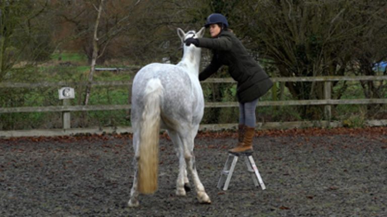 RLR_S006-A&D_Nav_block