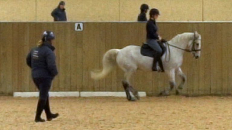 RLR_S006-K&P_Nav_block