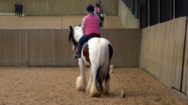 RLR_S13-C&Sunny_Nav_block