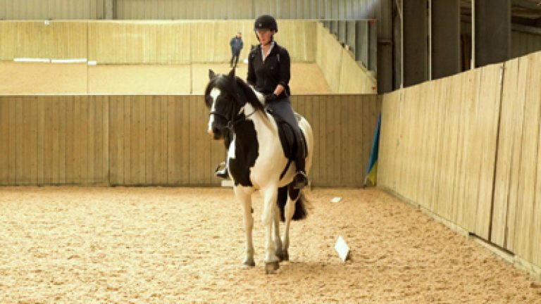 RLR_S19-C&M_Nav_block