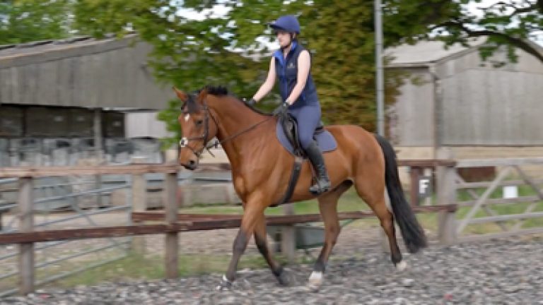 RLR_S1_Becca_Nav_block