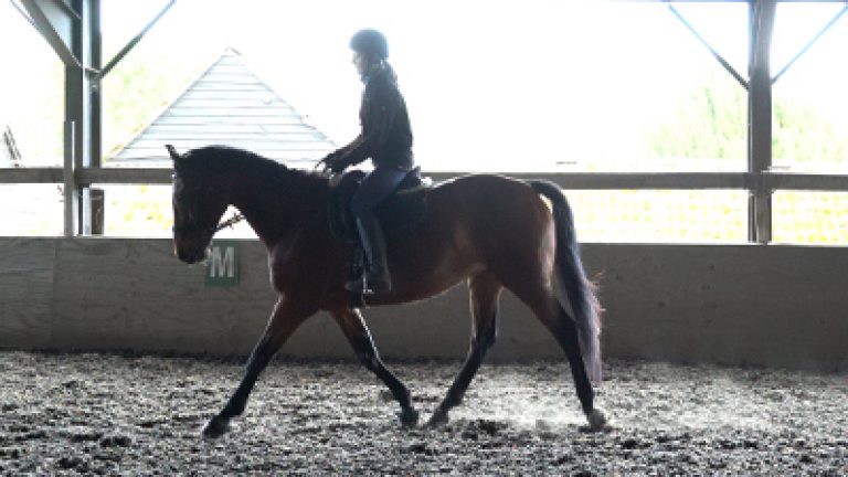 RLR_S39-C&S_Nav_block