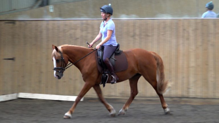 RTHR-H&R11_Nav_block