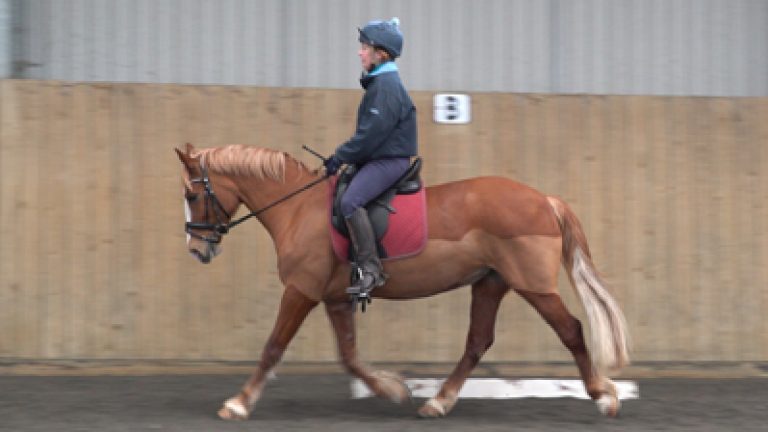 RTHR-S9_hannah&Rosie_Nav_block