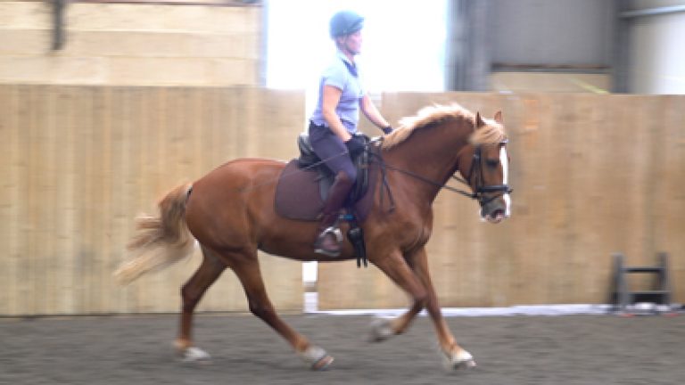 RTHR_Han-Rosie_10_Nav_block