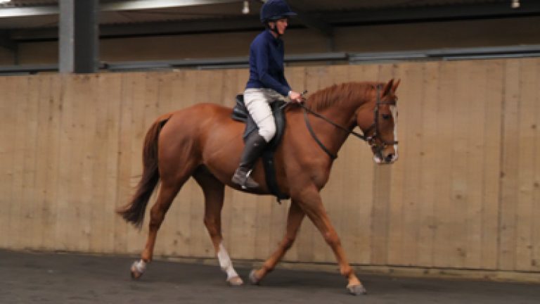 Sarah&Blue_1_Nav_block