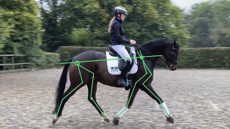 nav-cc9-pendulum-spring