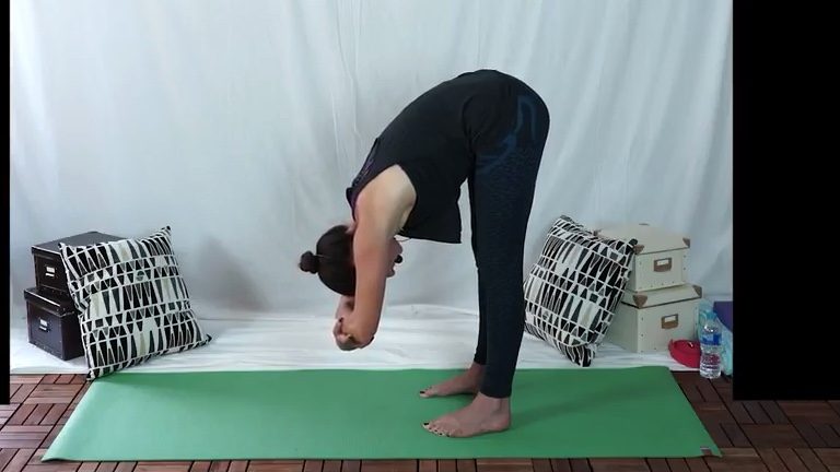 nav-dressage-yoga