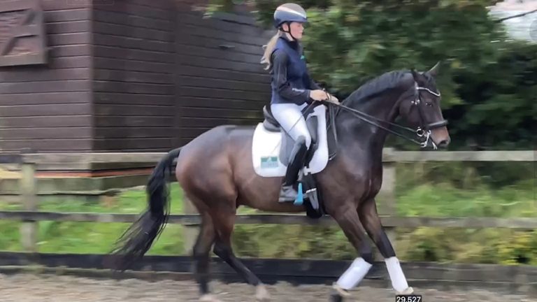 nav-ofq-milly-canter-template