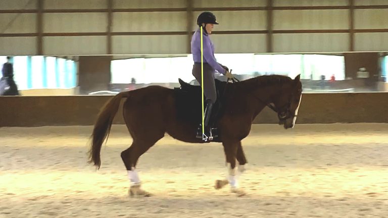 nav-ofu-leslie-canter