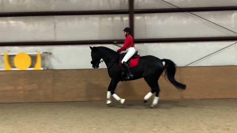 nav-ofv-carrie-canter