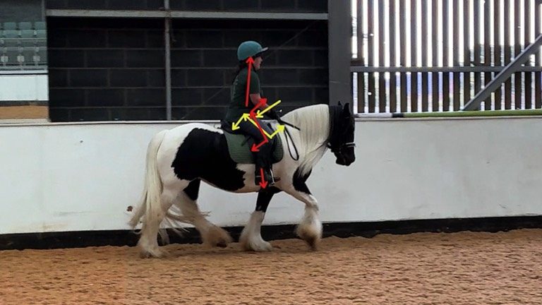 nav-ofw-diane-canter