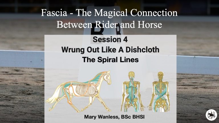 The Magical Connection Session 4