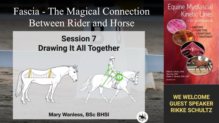 nav-tmc-session7