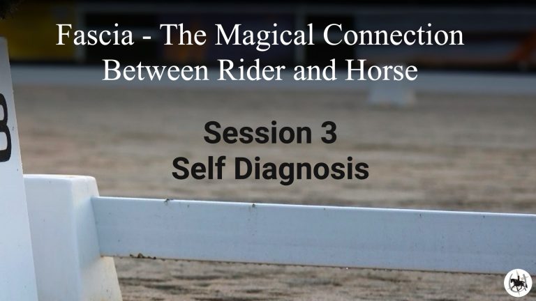 session 3 self diagnosis