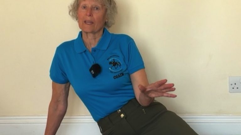 thb-pelvic-dexterity500